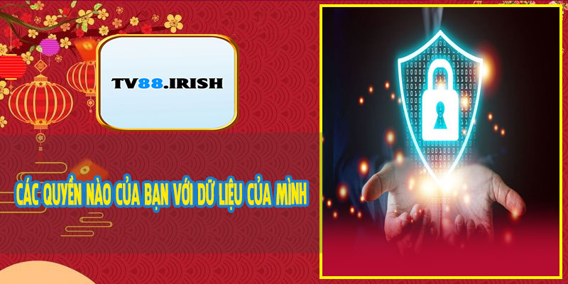 Các Quyền Nào Của Bạn Với Dữ Liệu Của Mình