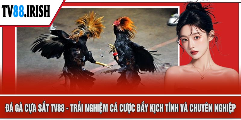 Đá Gà Cựa Sắt TV88 - Trải Nghiệm Cá Cược Đầy Kịch Tính Và Chuyên Nghiệp