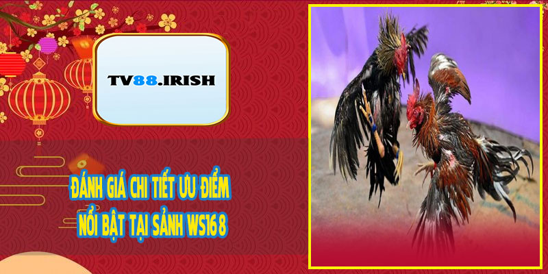 Đánh Giá Chi Tiết Ưu Điểm Nổi Bật Tại Sảnh WS168