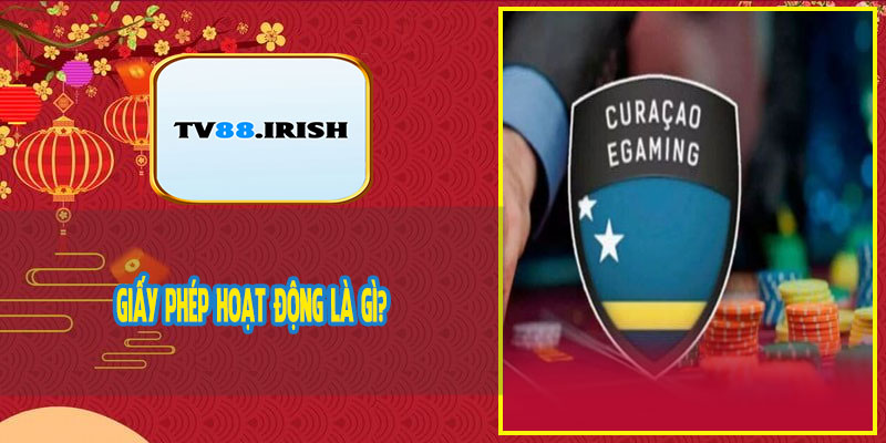 Giấy Phép Hoạt Động Là Gì?