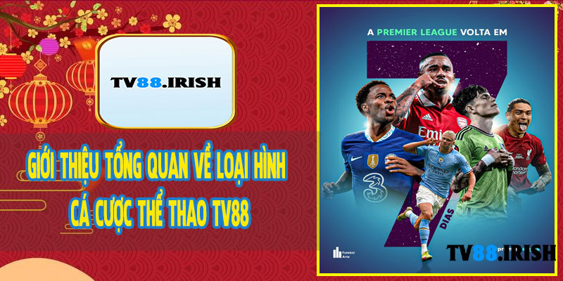 Giới Thiệu Tổng Quan Về Loại Hình Cá Cược Thể Thao TV88