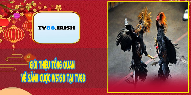 Giới Thiệu Tổng Quan Về Sảnh Cược WS168 Tại TV88