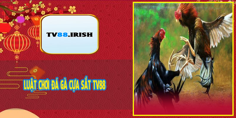 Luật Chơi Đá Gà Cựa Sắt TV88