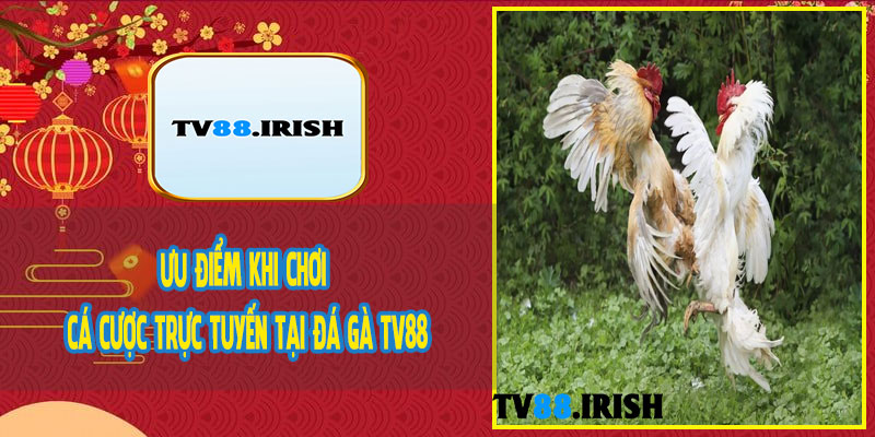 Ưu Điểm Khi Chơi Cá Cược Trực Tuyến Tại Đá Gà TV88